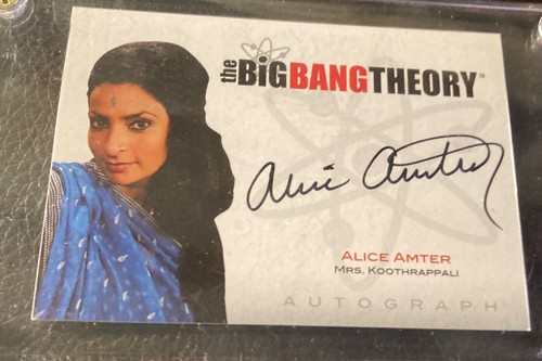 The big bang theory - the,