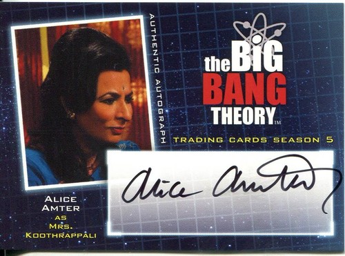 The big bang theory staffel - staffel, 5